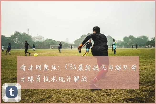 奇才网聚焦：CBA最新战况与球队奇才球员技术统计解读